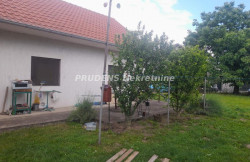 /c_images/thumb_3566998_1_p-action-image-site-8-agency-prudensnek-img-3x0nn5xzq2-1.jpg