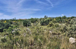 /c_images/thumb_3567451_2_ine-vodice-poljoprivredno-zemljiste-na-mirnoj-lokaciji-1.jpg