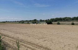 /c_images/thumb_3567907_2_ite-8-agency-dvazvona-img-kzkbs33ocq-img-20250514-104910.jpg