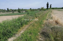 /c_images/thumb_3567907_3_ite-8-agency-dvazvona-img-egdiskckpq-img-20250514-104954.jpg