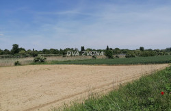 /c_images/thumb_3567907_4_ite-8-agency-dvazvona-img-6a4q6omgqv-img-20250514-105006.jpg