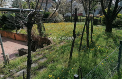 /c_images/thumb_3568580_3_ite-8-agency-dvazvona-img-jf64m7is5p-img-20250404-115605.jpg