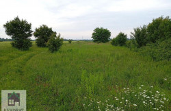 /c_images/thumb_3568947_1_vadratobrenovac-img-i0x3bdff8m-photo-2025-05-21-14-45-04.jpg