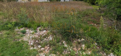 /c_images/thumb_3569264_1_8592070_1707820438_gradevinsko-zemljiste-slika-207548531.jpg