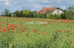 /c_images/thumb_3569690_1_ion-image-site-8-agency-dvazvona-img-kjcqpwrgve-img-4525.jpg