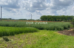 /c_images/thumb_3569690_3_ion-image-site-8-agency-dvazvona-img-zs3z36vhr0-img-4522.jpg