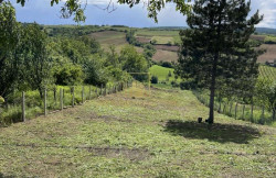 /c_images/thumb_3571068_2_image-site-8-agency-savetniknek-img-gezwogmcad-img-6838.jpeg