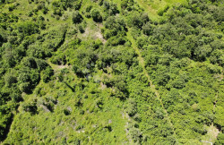 /c_images/thumb_3571340_4_1748011861_dji_0693.jpg