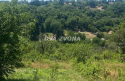 /c_images/thumb_3571905_1_ion-image-site-8-agency-dvazvona-img-etg8h3jsbj-img-5187.jpg