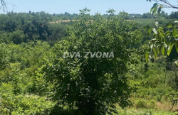 /c_images/thumb_3571905_2_ion-image-site-8-agency-dvazvona-img-8zx50ao7be-img-5188.jpg
