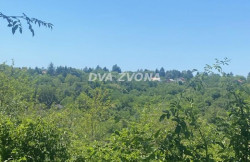 /c_images/thumb_3571905_4_ion-image-site-8-agency-dvazvona-img-dzzx2q34aq-img-5184.jpg