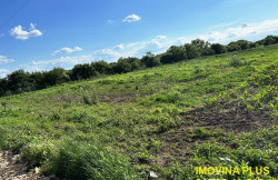 /c_images/thumb_3574460_4_-action-image-site-8-agency-imovinaplus-img-degcixq4f8-4.jpg
