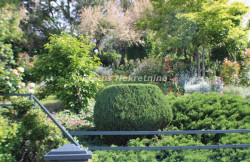 /c_images/thumb_3574672_3_mage-site-8-agency-status-img-0yr68t3xkh-img-5166-resize.jpg