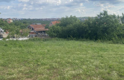 /c_images/thumb_3575164_1_on-image-site-8-agency-kompasbg-img-isxooooycp-img-1576.jpeg