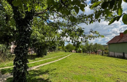 /c_images/thumb_3575930_4_n-image-site-8-agency-dvazvona-img-yfs7cyit5n-image1-1-.jpeg