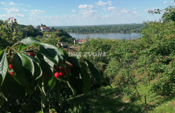 /c_images/thumb_3577137_1_ite-8-agency-dvazvona-img-3e04t54rkv-img-20250531-164353.jpg