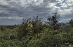 /c_images/thumb_3582013_3_1749137511_img_20240912_110106186_hdr.jpg