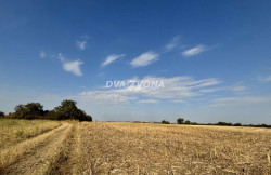 /c_images/thumb_3583141_2_zvona-img-6ox68ju3wj-viber-slika-2024-09-09-12-16-03-107.jpg
