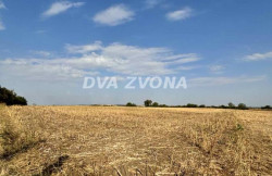 /c_images/thumb_3583141_3_zvona-img-yae6dajzf2-viber-slika-2024-09-09-12-16-01-770.jpg