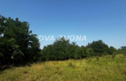 /c_images/thumb_3586061_1_ion-image-site-8-agency-dvazvona-img-xyjjn3a8tg-img-4956.jpg