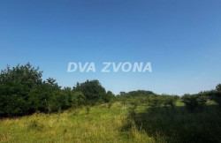 /c_images/thumb_3586061_2_ion-image-site-8-agency-dvazvona-img-4jpmghwuxp-img-4957.jpg