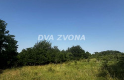 /c_images/thumb_3586061_3_ion-image-site-8-agency-dvazvona-img-wgja6a0wbv-img-4958.jpg