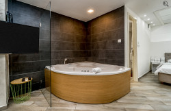 /c_images/thumb_3586370_1_apartmani-beograd-centar-apartman-casa-nirvana-spa3.jpg