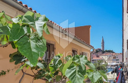 /c_images/thumb_3588904_1_1689248772_house-for-sale-rovinj-3.jpg