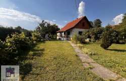 /c_images/thumb_3589042_1_tobrenovac-img-vqzboy5baj-importedphoto.741770827.27052.jpeg