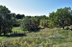 /c_images/thumb_3590747_2_94538_iznimno-zemljiste-sredisnjoj-istri-slika-218408778.jpg