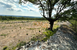/c_images/thumb_3590766_3__gradevinsko-zemljiste-viskovici-3697-m2-slika-219997495.jpg