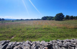 /c_images/thumb_3590778_3_redno-zemljiste-2-parcele-sajini-9005-m2-slika-223341565.jpg