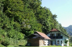 /c_images/thumb_3591704_1_1688998024_travna-povrsina.jpg