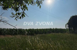 /c_images/thumb_3594384_2_ion-image-site-8-agency-dvazvona-img-wec8kpomdp-img-4967.jpg
