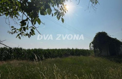 /c_images/thumb_3594384_4_ion-image-site-8-agency-dvazvona-img-00qztioqvt-img-4971.jpg