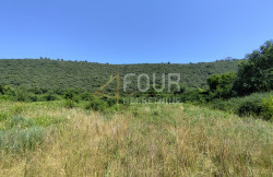 /c_images/thumb_3594720_1_1750408569_prodaja-zemljiste-teren-pula-okolica-4.jpg