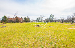 /c_images/thumb_3594916_1_MG_1760.jpg