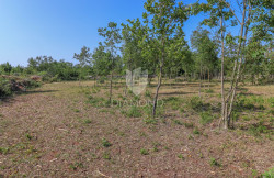 /c_images/thumb_3597448_1_1750846341_bulding-land-near-svetvincenat-3.jpg