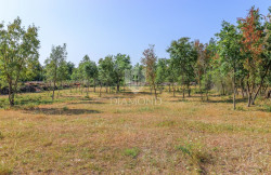 /c_images/thumb_3597449_1_1750845236_bulding-land-near-svetvincenat.jpg