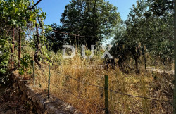 /c_images/thumb_3598030_4_1750953364_croatia-istria-real-estate-for-sale-521.jpg