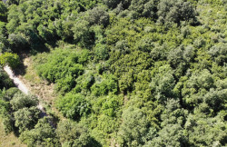 /c_images/thumb_3600586_2_1751271970_dji_0746.jpg