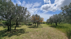 /c_images/thumb_3600688_2_sko-zemljiste-galizana-647-m2-pogled-more-slika-20452987.jpg