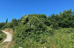 /c_images/thumb_3601500_1_1751378860_image0.jpeg