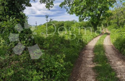 /c_images/thumb_3601589_3_hunsko-gradevinsko-zemljiste-investitore-slika-193617729.jpg