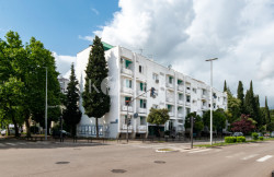 /c_images/thumb_3601955_1_Prekoputa-crvenog-krsta-Preko-Morace-2-1.jpg