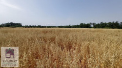 /c_images/thumb_3602238_1_vadratobrenovac-img-vu00fsmhyf-photo-2025-07-02-09-36-51.jpg