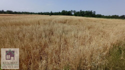 /c_images/thumb_3602238_3_vadratobrenovac-img-kvendzx4s7-photo-2025-07-02-09-36-59.jpg
