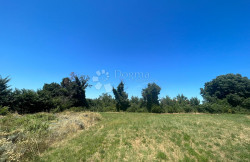 /c_images/thumb_3602289_4_1751464068_2d4db58a-2d2a-44aa-b37b-d68d2352e9c8.jpeg