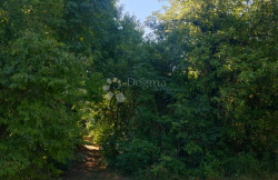/c_images/thumb_3602290_2_1751464202_57e522e1-6370-4d48-bd90-85f0dc8fc2cd.jpeg