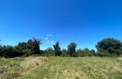 /c_images/thumb_3602295_1_1751464064_c0968979-3b1a-44d1-b00c-132bf3b79c98.jpeg